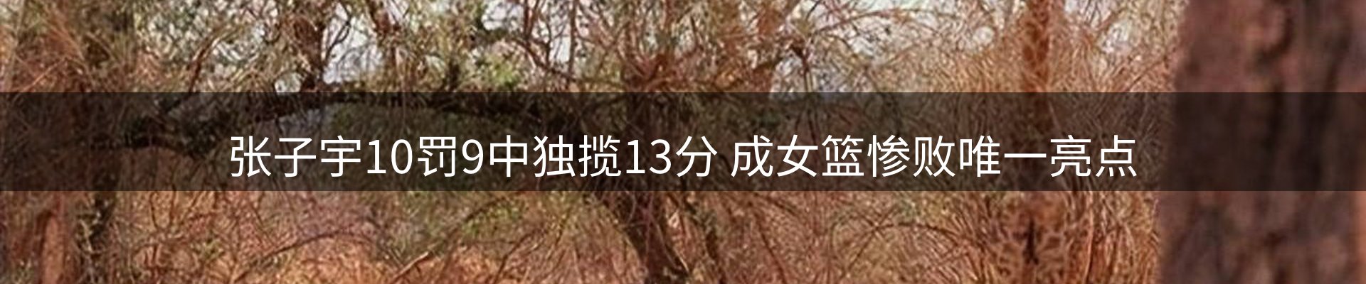 企业精选