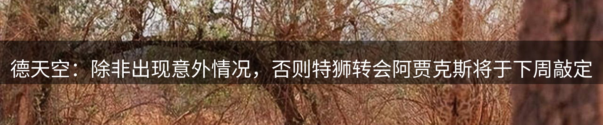 新闻中心